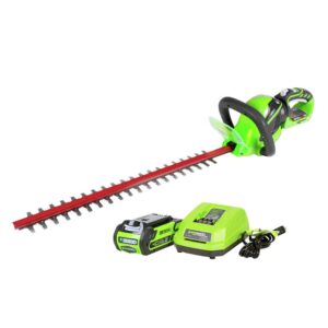 Cortacerco Greenworks (copia)